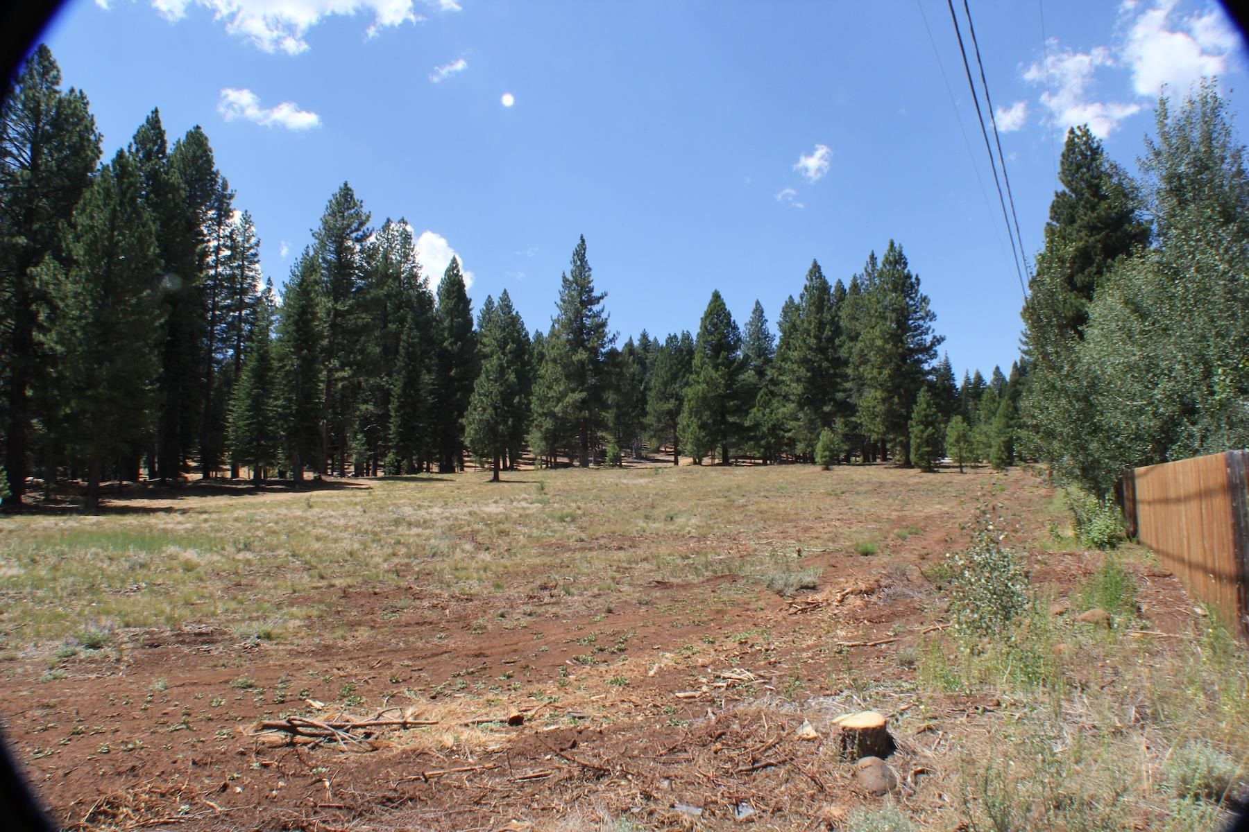 10735 Dogwood Road Truckee, CA 96161 - Photo 6 of 20 a view of a yard with trees