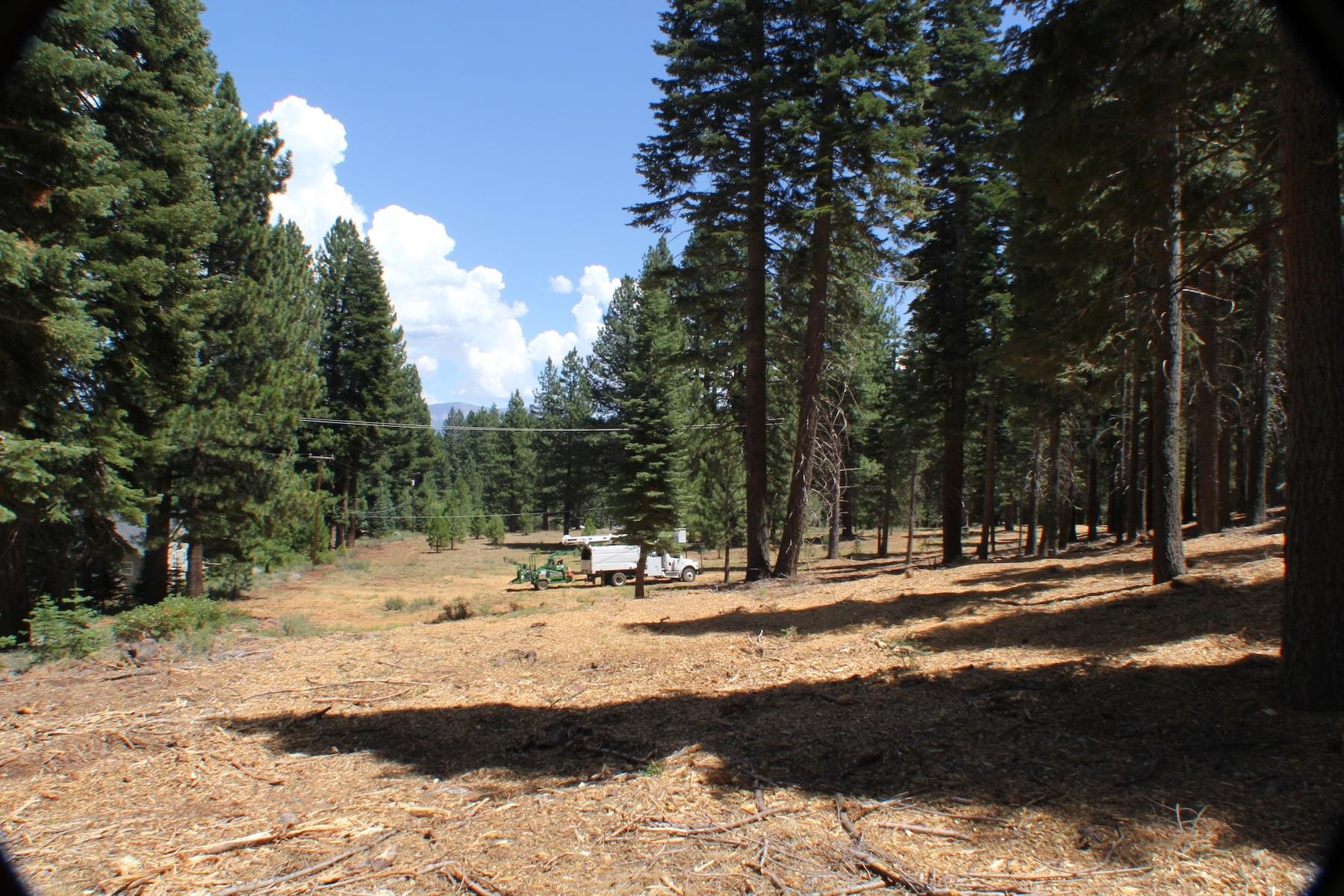 10735 Dogwood Road Truckee, CA 96161 - Photo 9 of 20 a view of road with trees