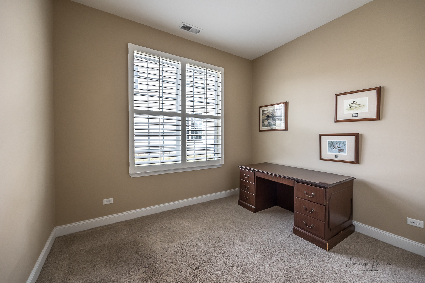 3870 Eagle Ridge Drive Elgin, IL 60124 - Photo 14 of 20