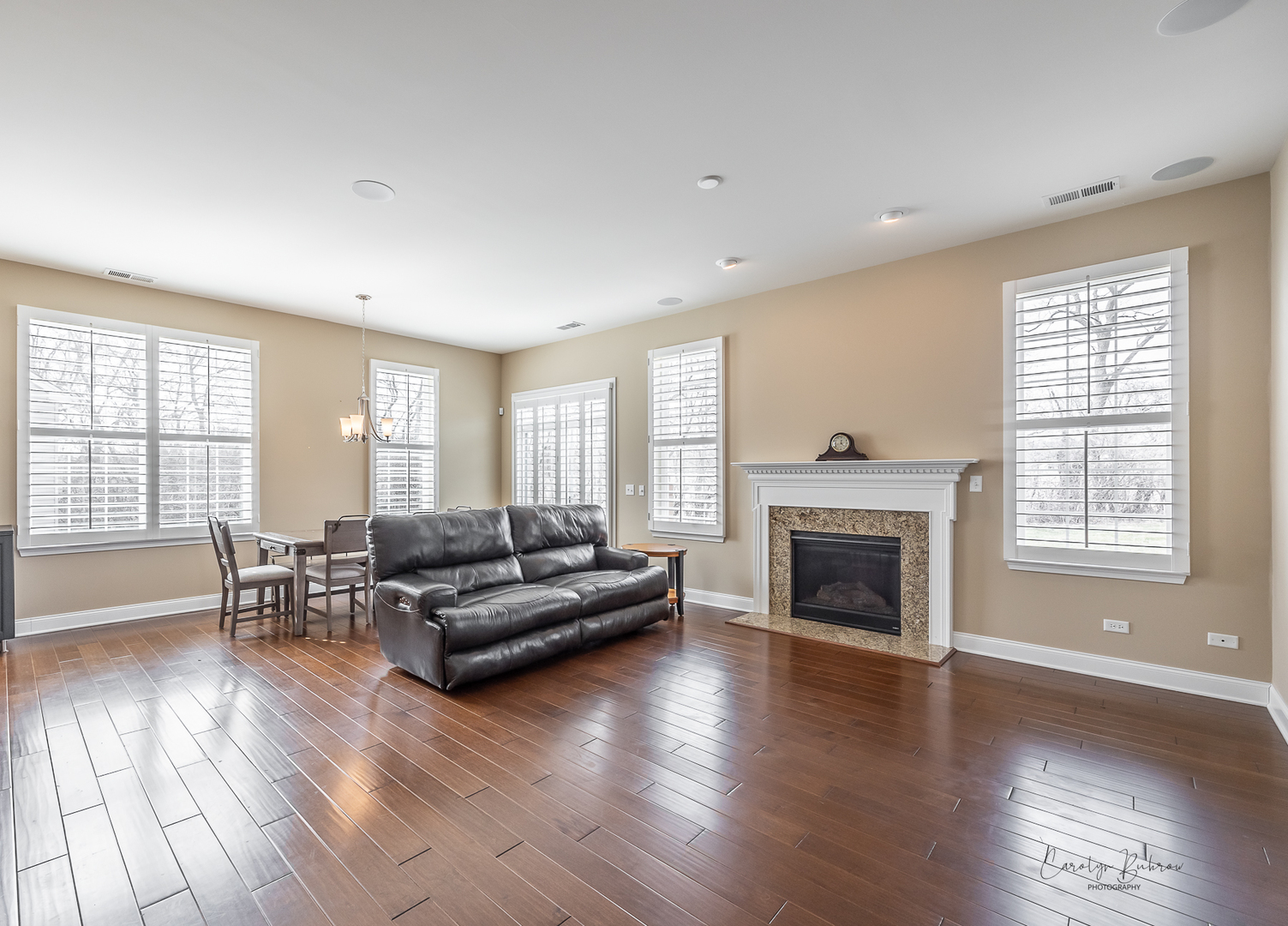 3870 Eagle Ridge Drive Elgin, IL 60124 - Photo 7 of 20 a living room with furniture and a fireplace