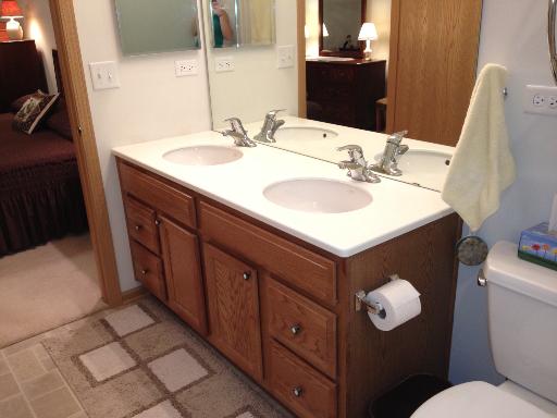 13616 Hemlock Road Huntley, IL 60142 - Photo 12 of 16 a bathroom with a sink vanity and toilet