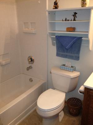 13616 Hemlock Road Huntley, IL 60142 - Photo 14 of 16 a bathroom with a toilet a sink and a bathtub