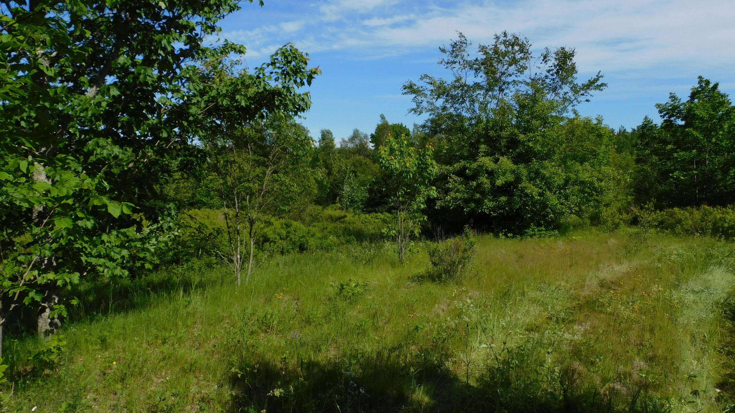 267 Ridge Road Robbinston, ME 04671 - Photo 2 of 4 DSCN0117
