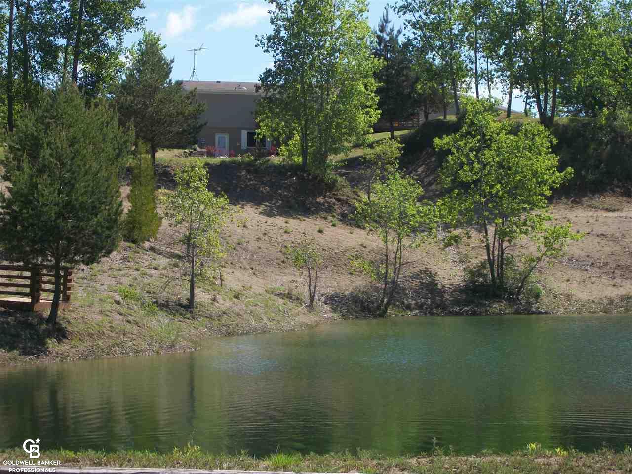 2460 Harrington Road Croswell, MI 48422 - Photo 1 of 85