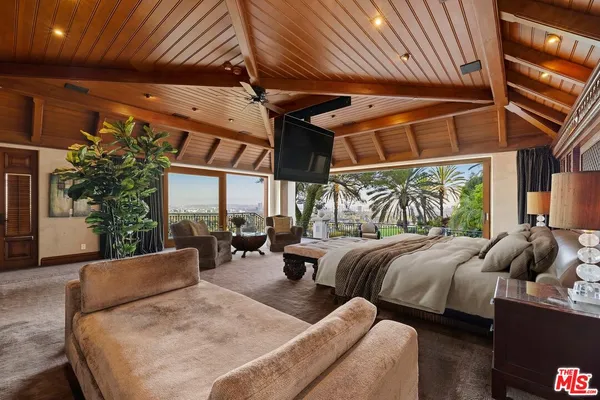 a view of a garden with an umbrella