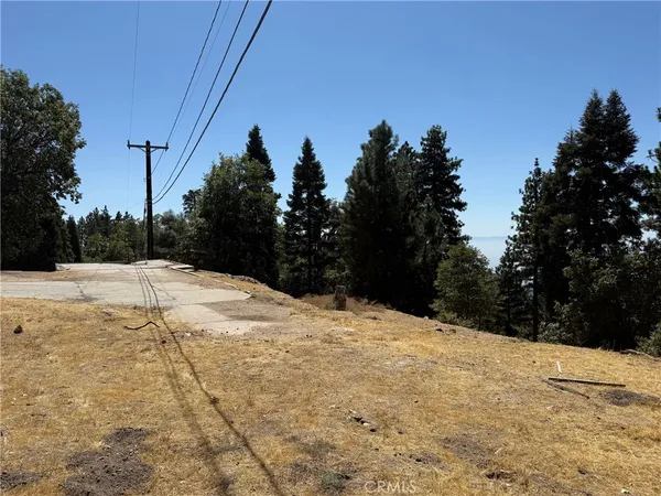 a view of side of snow with trees in the background