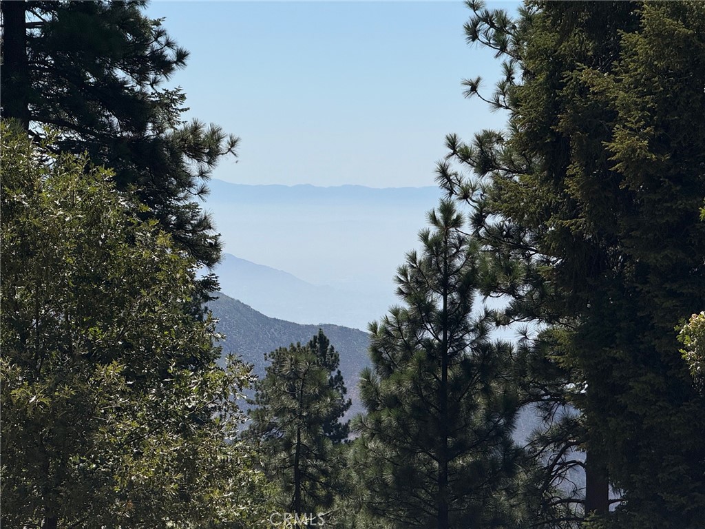 10 Winding Way Running Springs, CA 92382 - Photo 2 of 5 a picture of tree