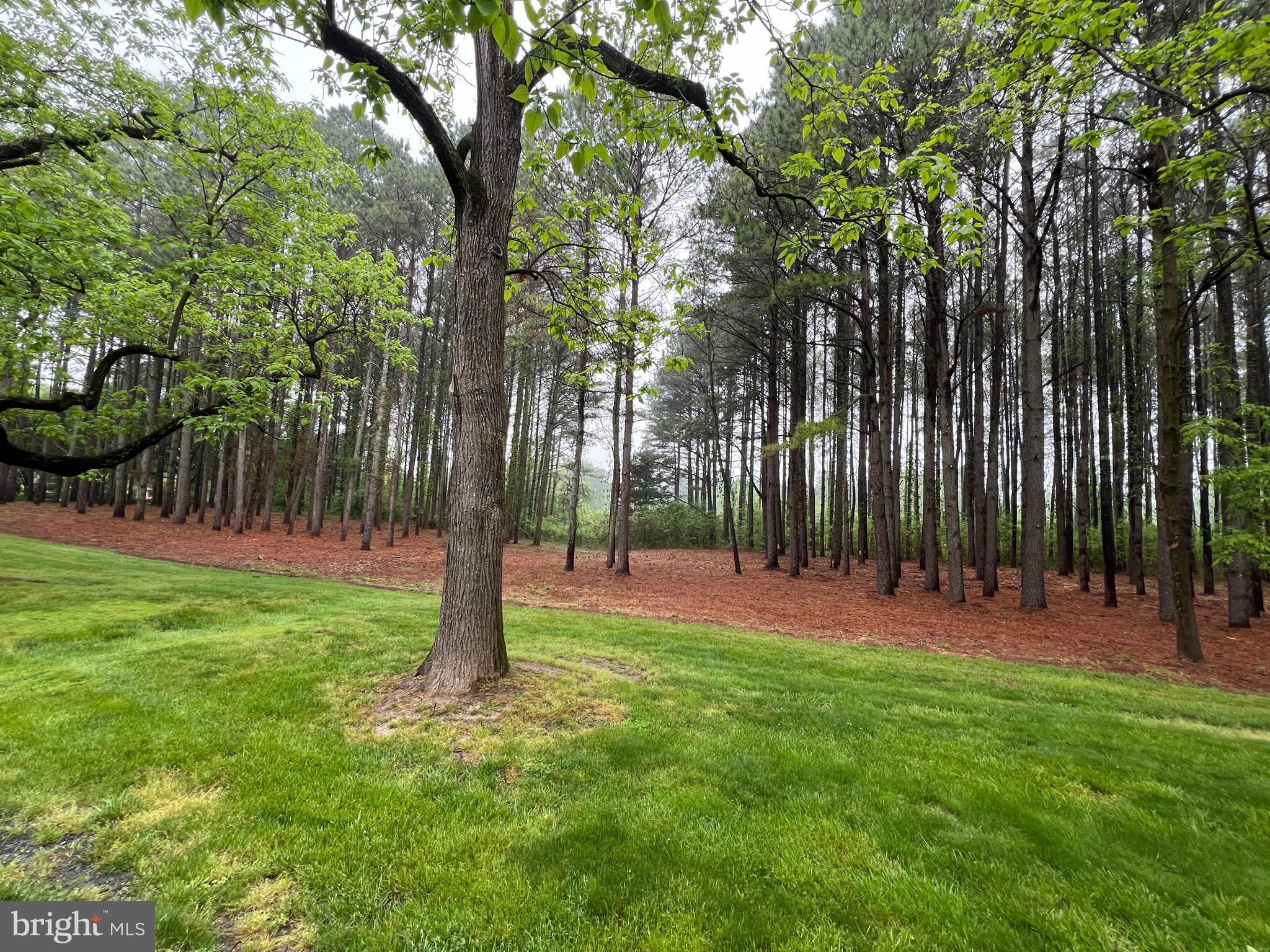 Lot B Catalpa Point Road Easton, MD 21601 - Photo 5 of 8 Gallery Image 5