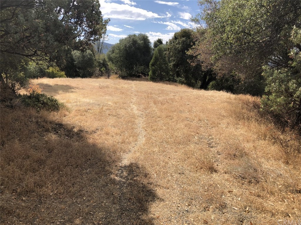 40970 Jean Road East Oakhurst, CA 93644 - Photo 1 of 1