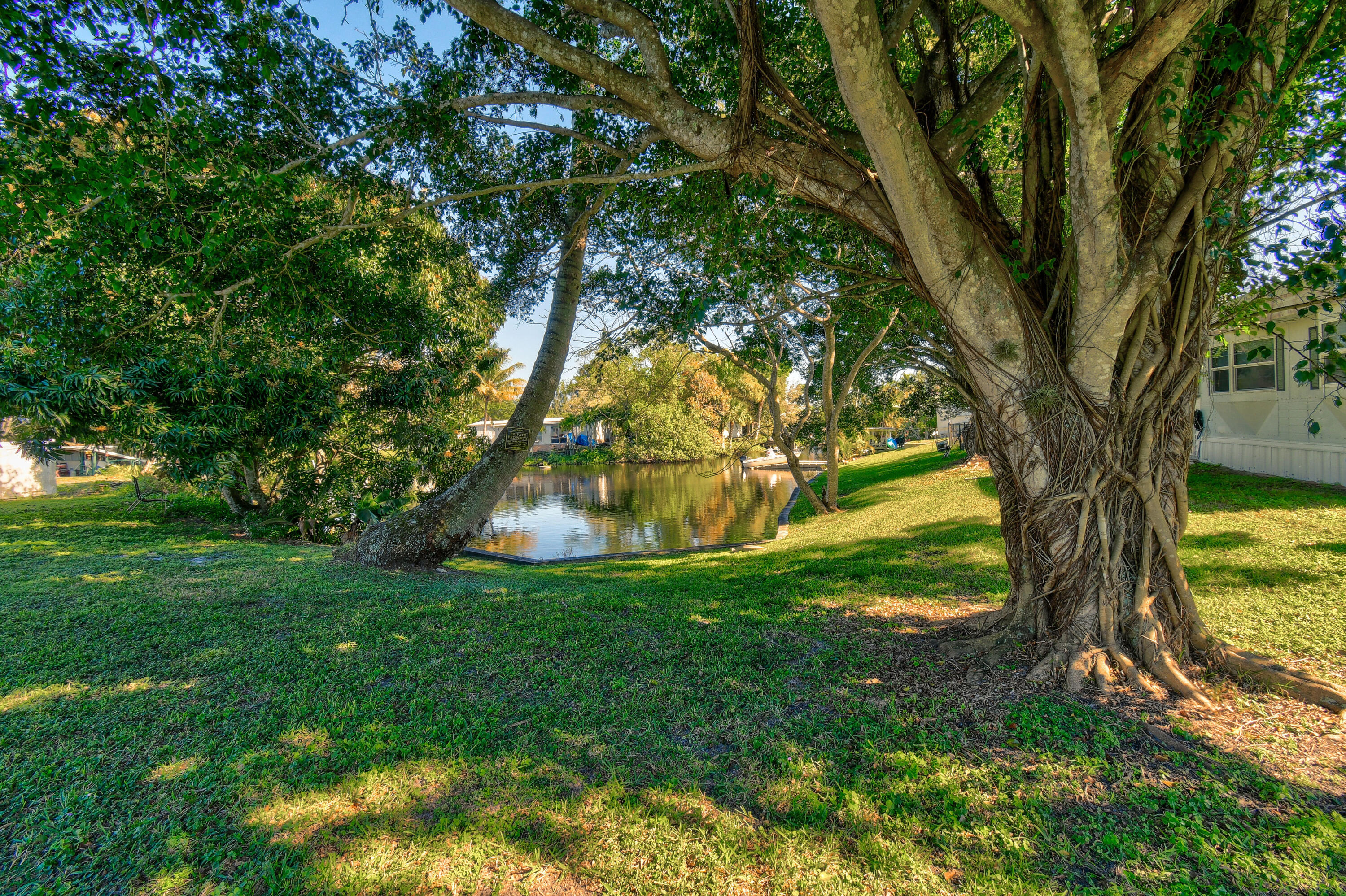 24 Southeast Fork Terrace Stuart, FL 34997 - Photo 3 of 14 a view of a trees in a yard