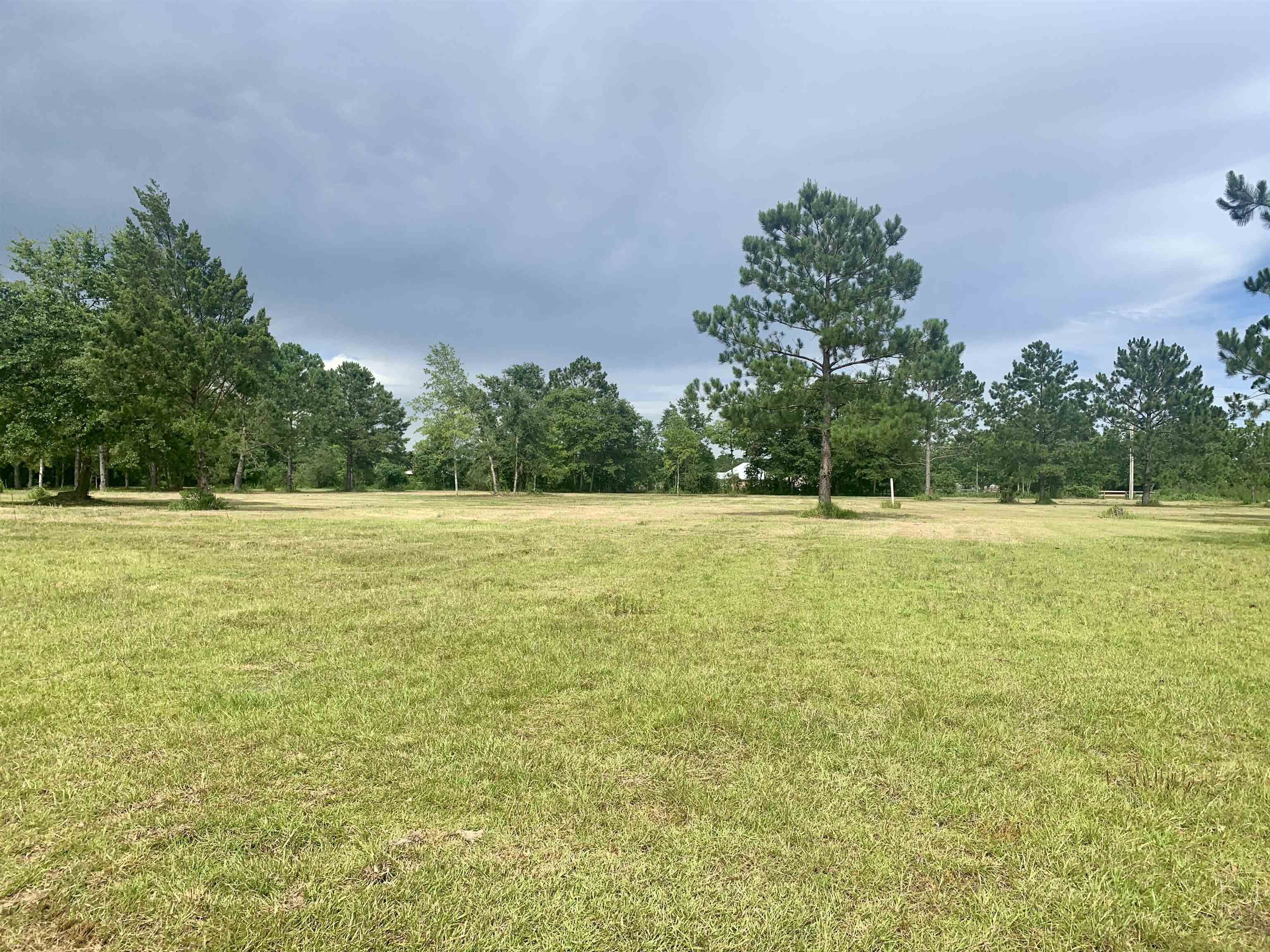 8206 Capri Lane Foley, AL 36535 - Photo 9 of 10 BUILD READY