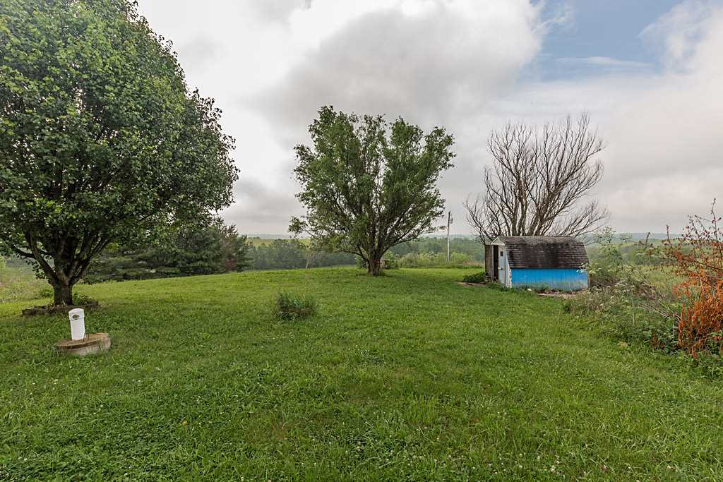 220 Mitts Road Williamstown, KY 41097 - Photo 2 of 25 Gallery Image 2