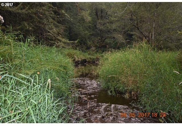 0 Northeast Thompson Road Yacolt, WA 98675 - Photo 4 of 23 Gallery Image 4