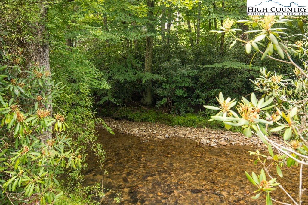 252 Goshen Creek Lane Boone, NC 28607 - Photo 18 of 31 a view of a garden with plants
