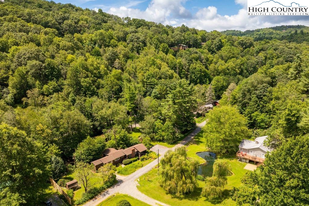 252 Goshen Creek Lane Boone, NC 28607 - Photo 20 of 31 a view of a bunch of trees