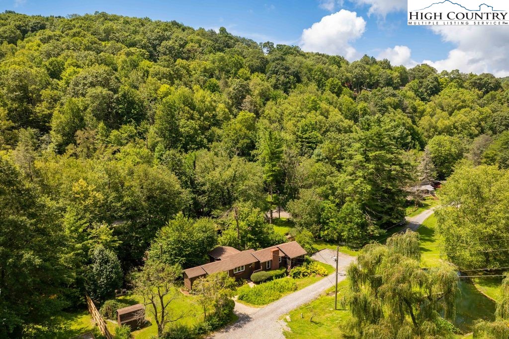 252 Goshen Creek Lane Boone, NC 28607 - Photo 28 of 31 a view of a bunch of flowers
