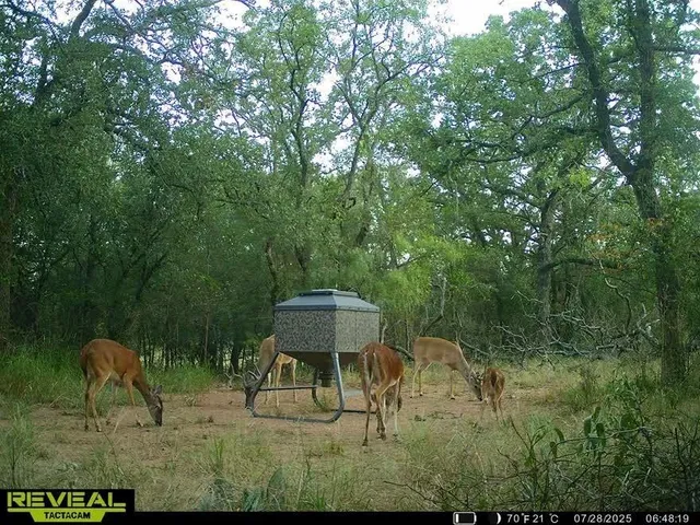 $1,100,000 | 6000 Cr 354 Blanket Tx 76342, Blanket, TX 76432