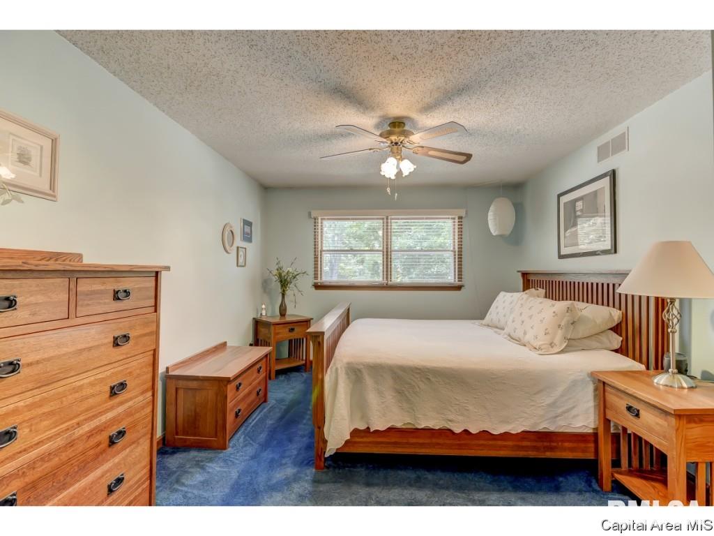 53 Axline Road Chatham, IL 62629 - Photo 18 of 36 Gallery Image 18