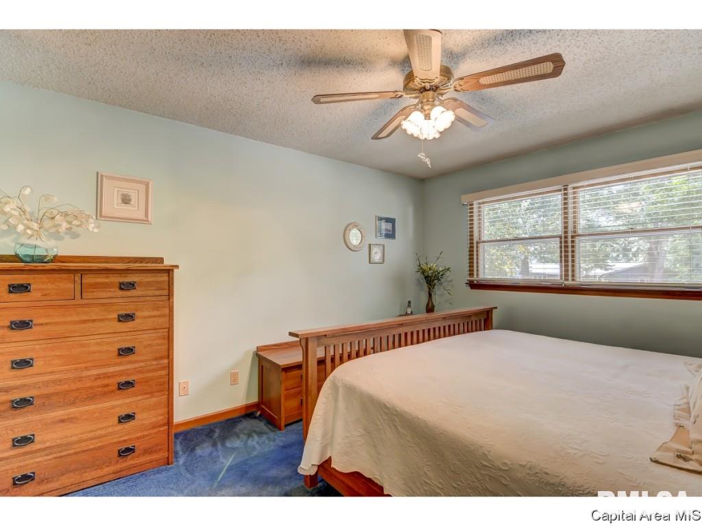 53 Axline Road Chatham, IL 62629 - Photo 19 of 36 Gallery Image 19