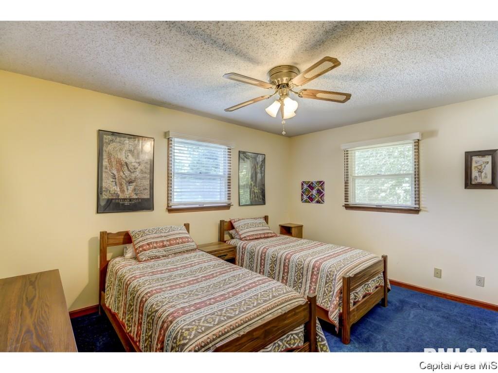 53 Axline Road Chatham, IL 62629 - Photo 21 of 36 Gallery Image 21