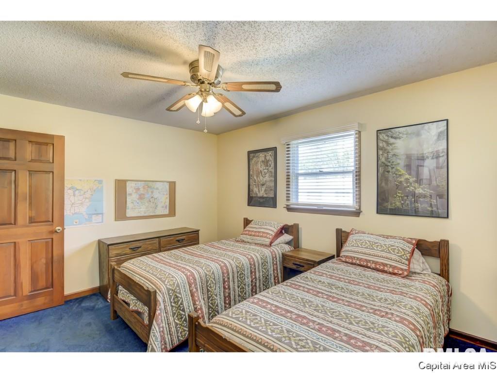 53 Axline Road Chatham, IL 62629 - Photo 22 of 36 Gallery Image 22