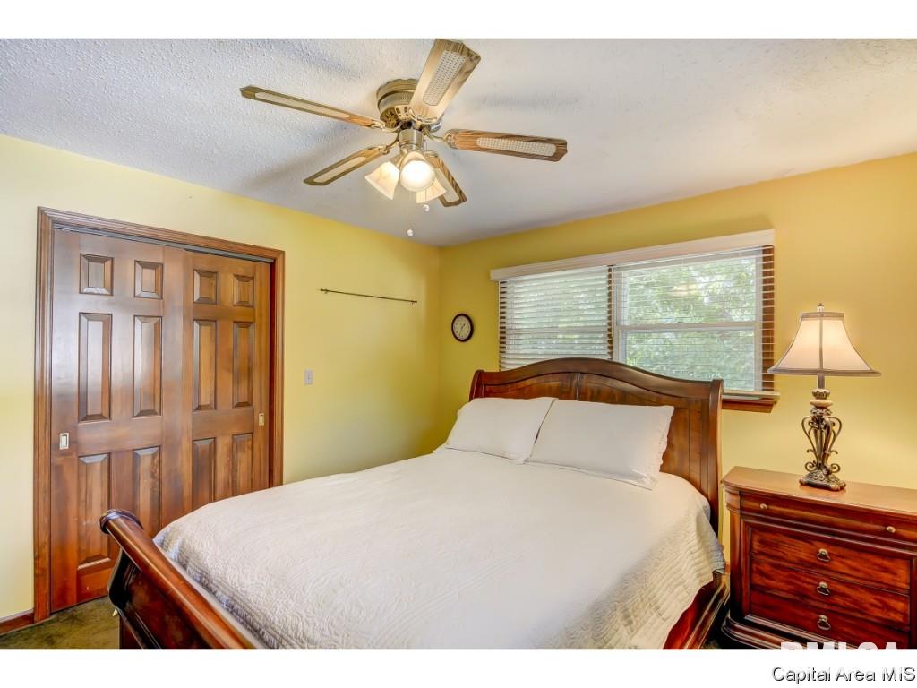 53 Axline Road Chatham, IL 62629 - Photo 23 of 36 Gallery Image 23
