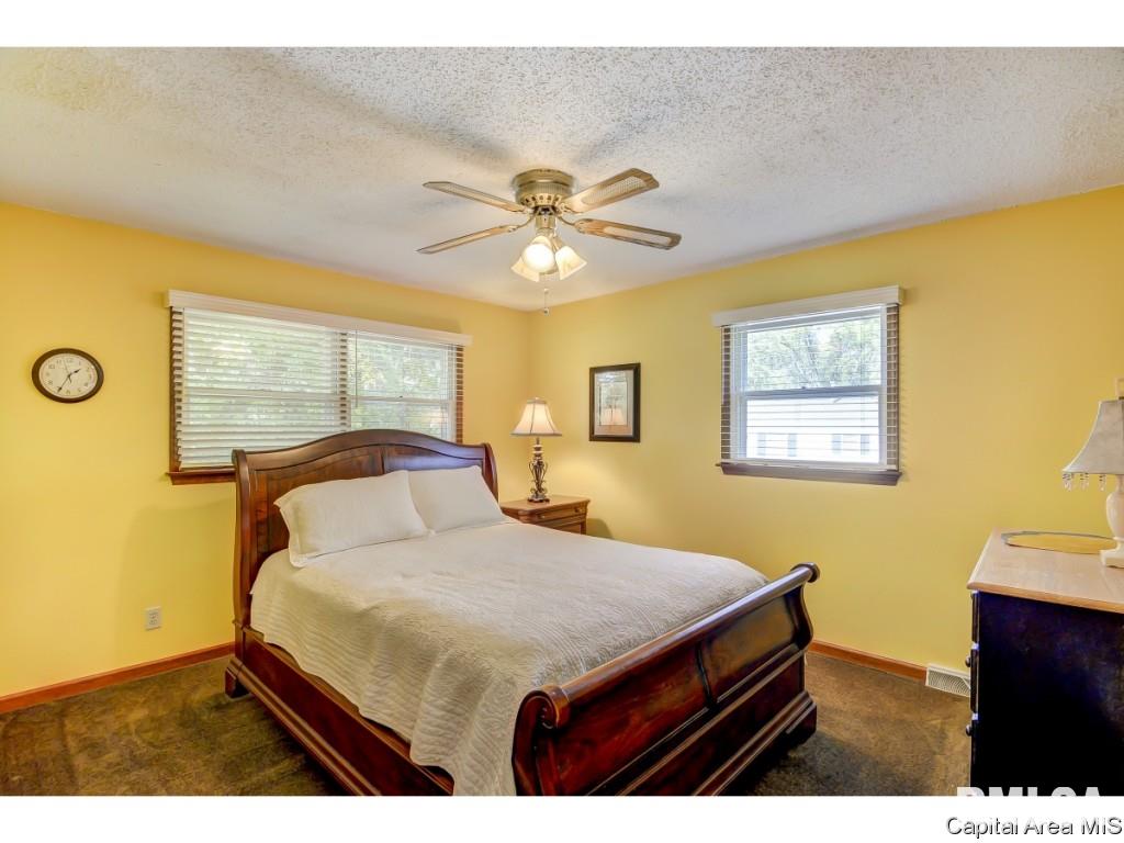 53 Axline Road Chatham, IL 62629 - Photo 24 of 36 Gallery Image 24