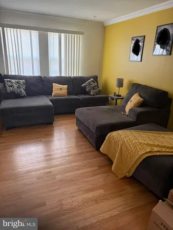 a living room with couches and painting on the wall