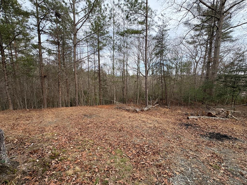 0 Multiple Lots Old Johnson Road Murphy, NC 28906 - Photo 31 of 35 Gallery Image 31
