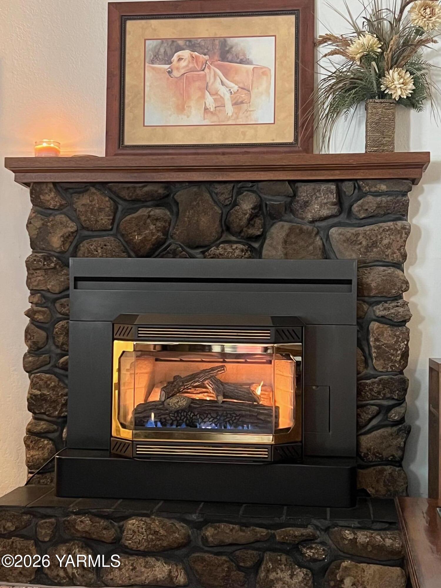 41 Bertsch Circle Naches, WA 98937 - Photo 8 of 27 fireplace propane