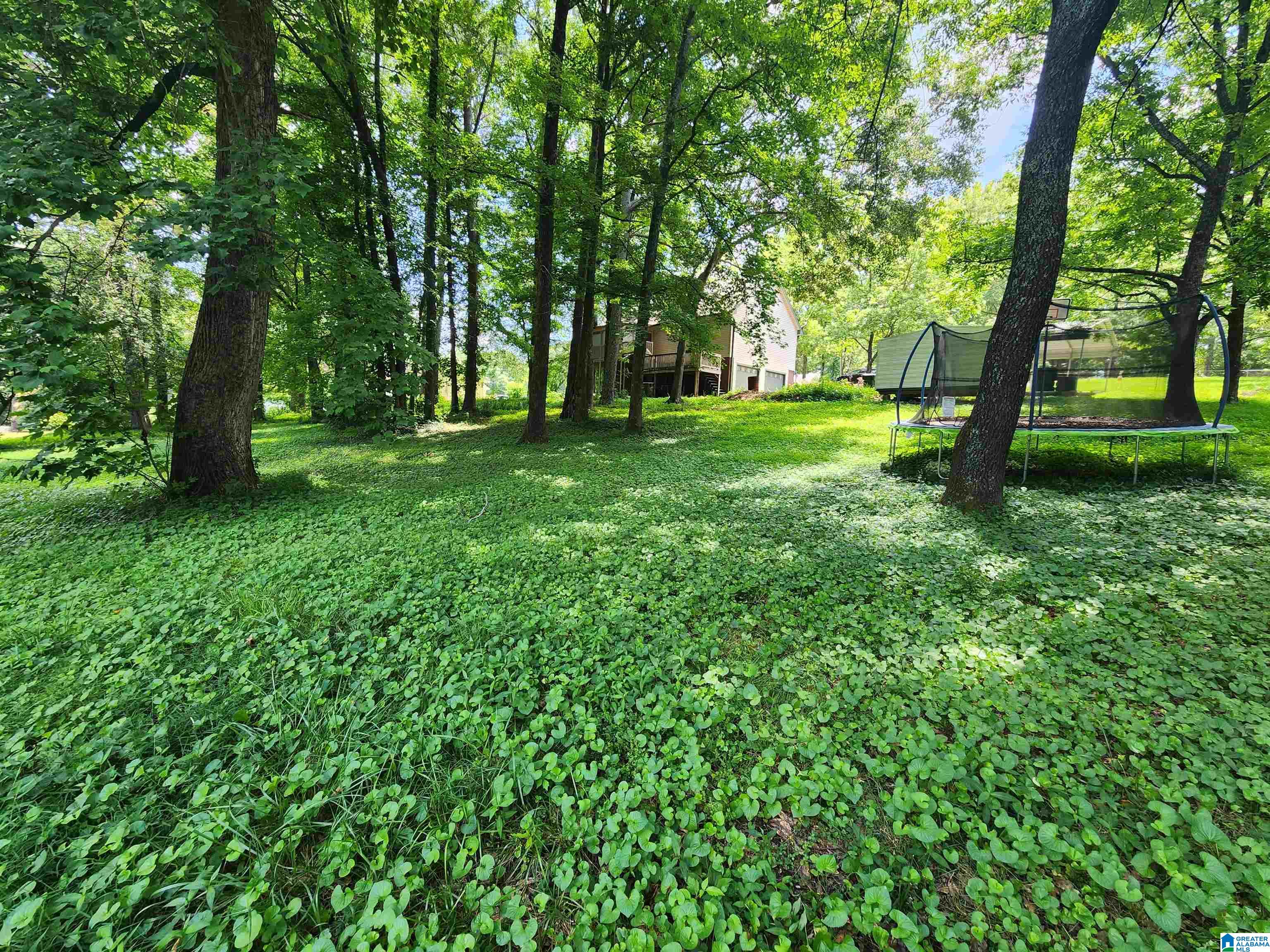 43 John Circle Springville, AL 35146 - Photo 25 of 26