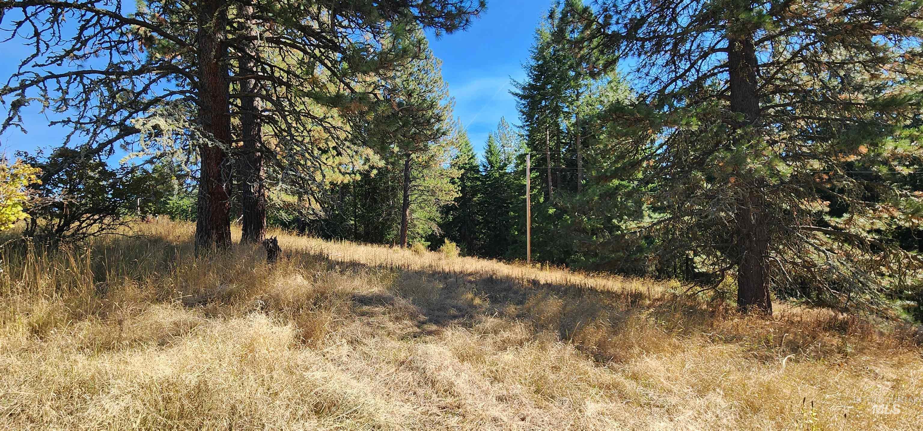 Tbd Red Fir Road Kooskia, ID 83539 - Photo 7 of 34