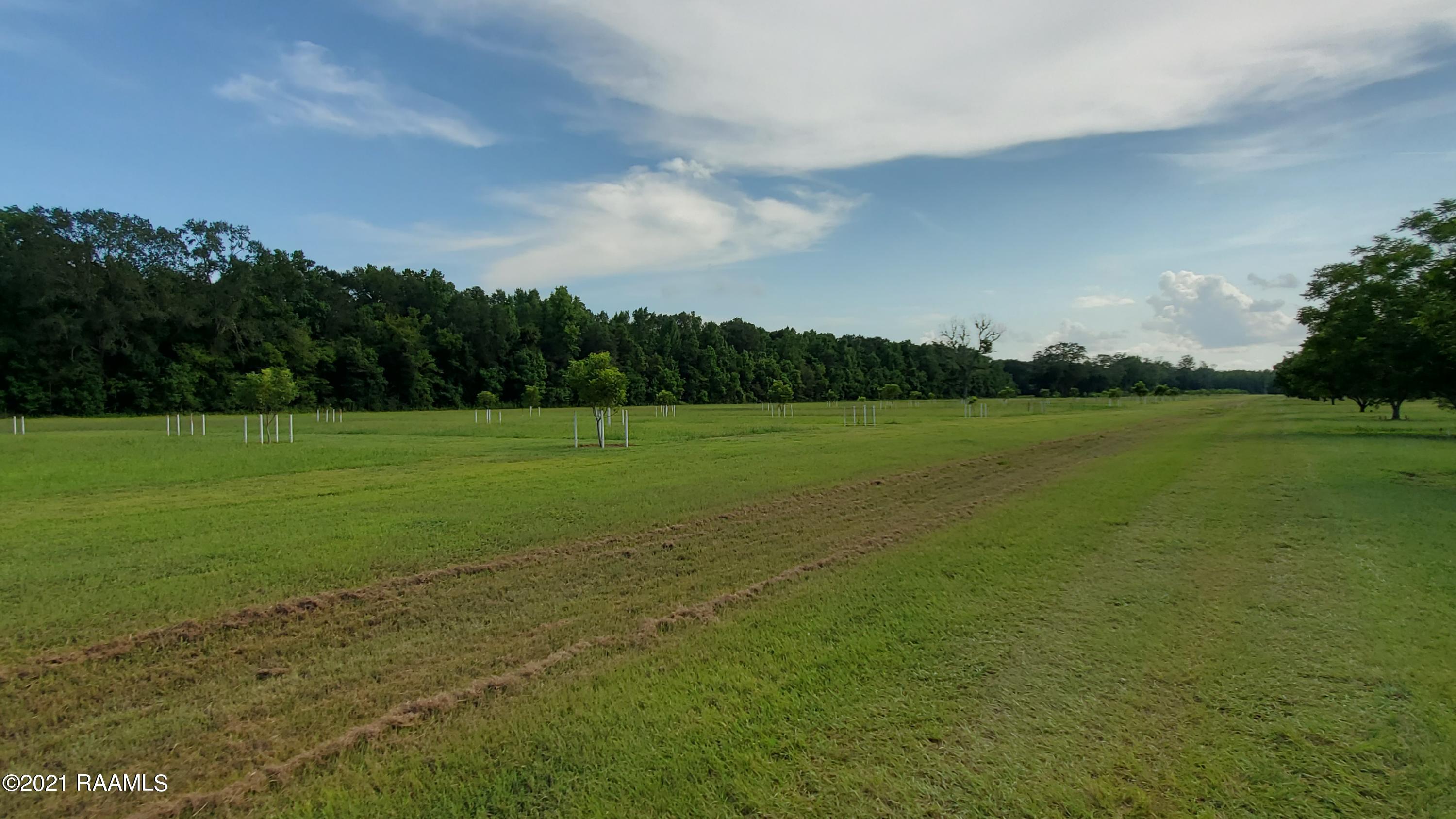 0 Gloria Kern Road Breaux Bridge, LA 70517 - Photo 19 of 25