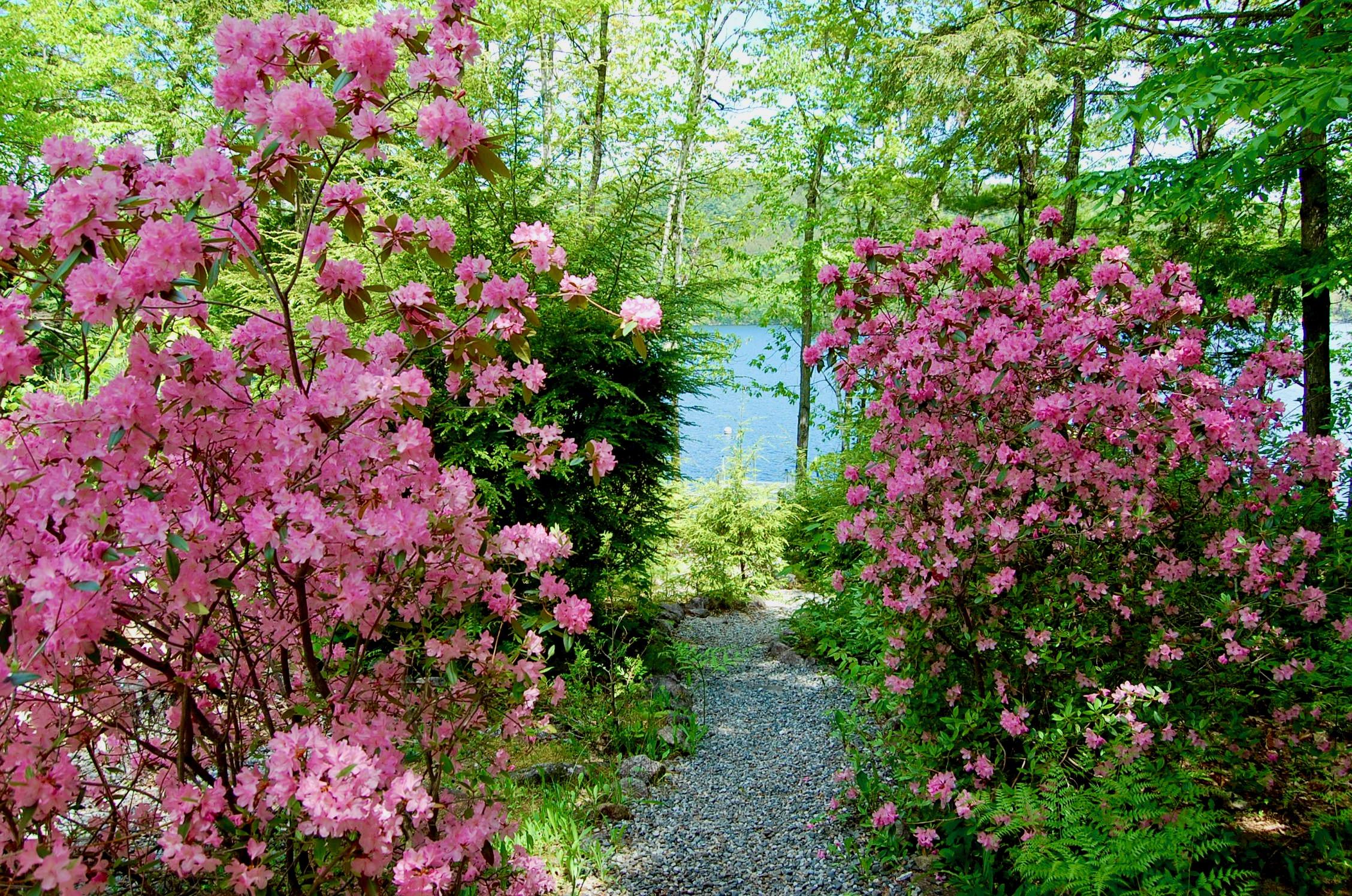 170 Beaver Brook Estates Rome, ME 04963 - Photo 50 of 99 DSC_7935