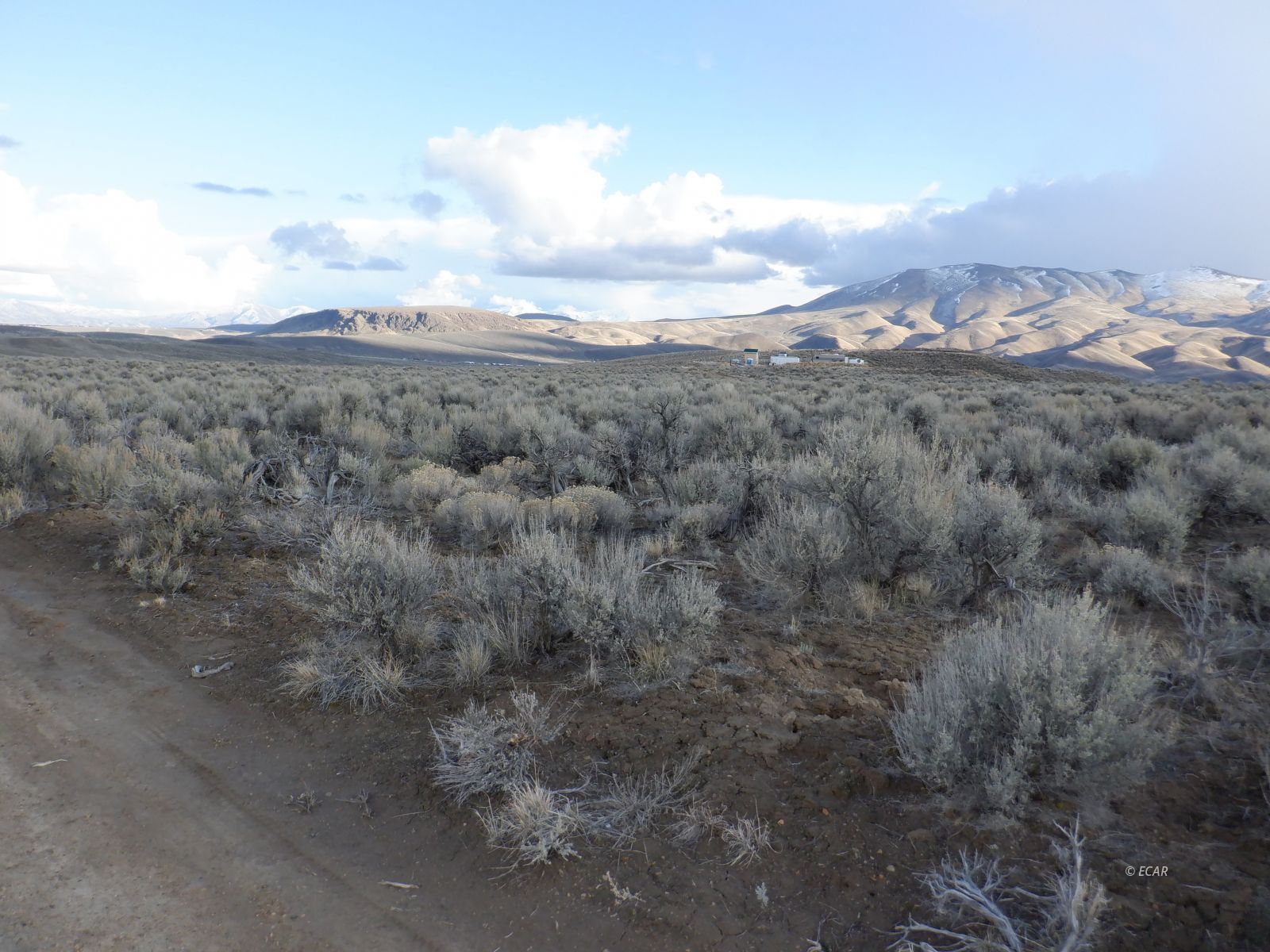 33-3 7th Street Elko, NV 89801 - Photo 8 of 15