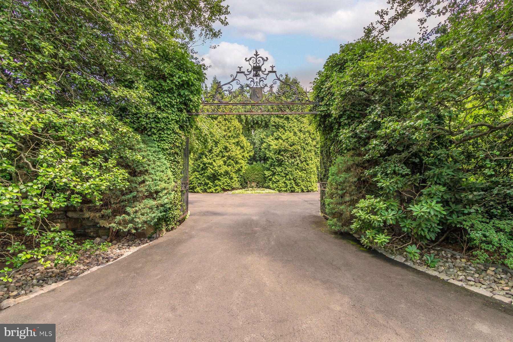 a view of a garden with plants