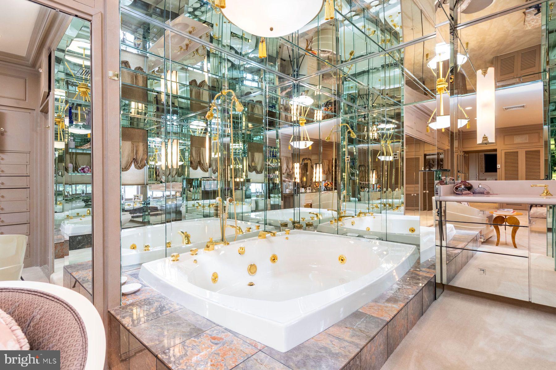 1035 Wright Drive Huntingdon Valley, PA 19006 - Photo 27 of 50 a white bath tub sitting next to a large window