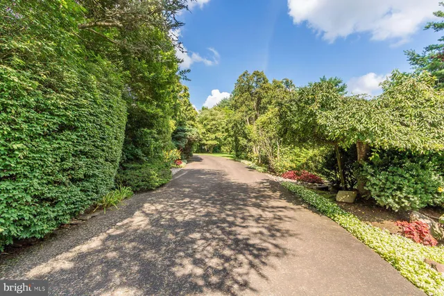 a view of a yard with plants and a bench