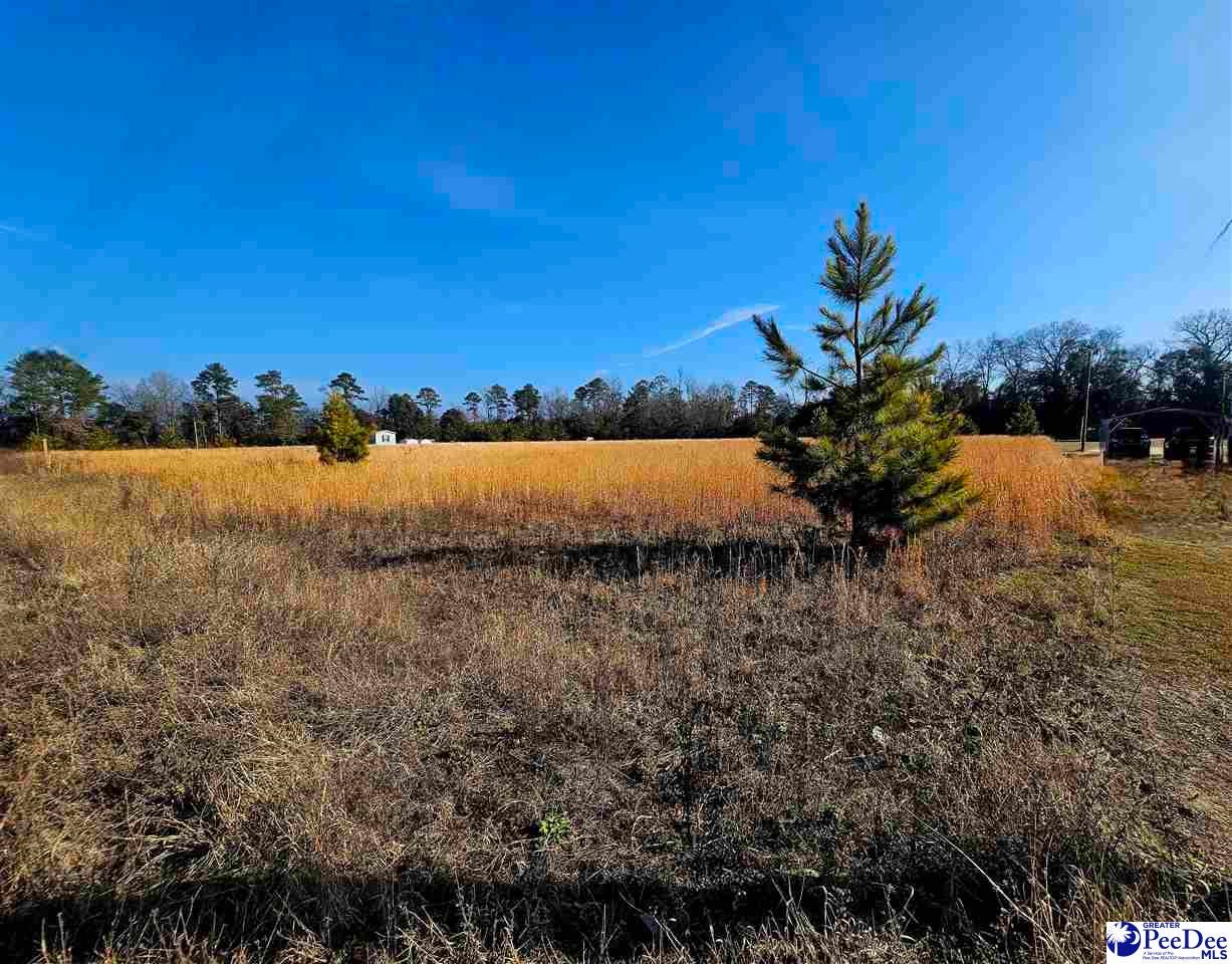 3722 Step Road Wallace, SC 29596 - Photo 16 of 18 Gallery Image 16