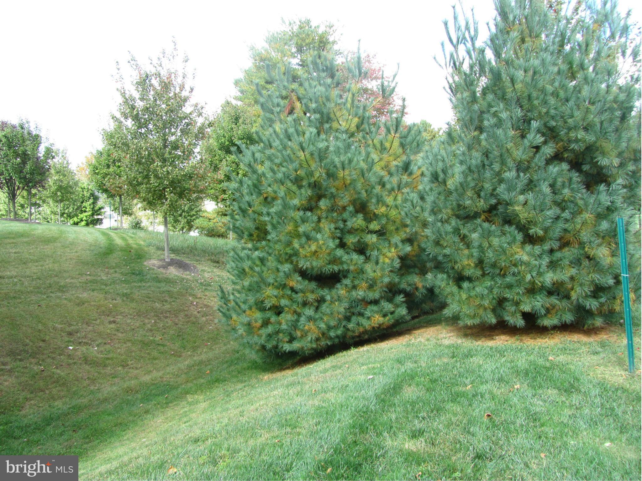 2608 Rockhampton Road Ellicott City, MD 21042 - Photo 30 of 30 View