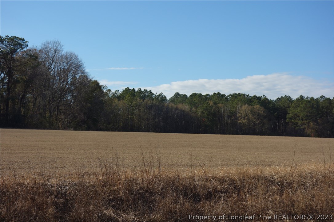8 Fire Tower Road Orrum, NC 28369 - Photo 1 of 1 a view of an outdoor space and a yard