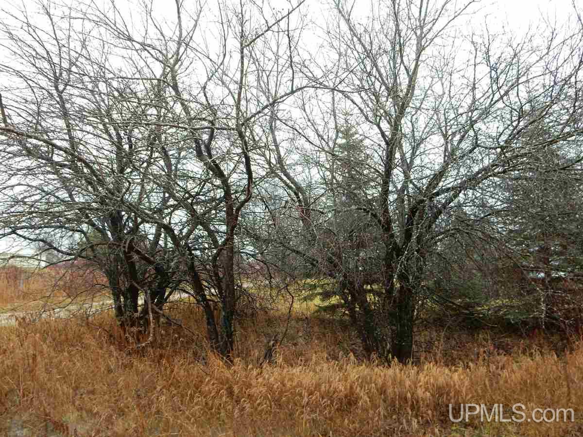 Tbd Ketola Road Germfask, MI 49836 - Photo 2 of 5 Gallery Image 2