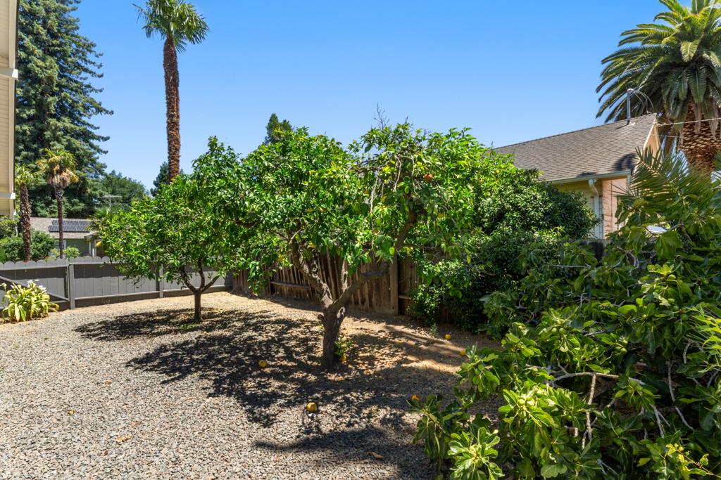 395 Loreto Street Mountain View, CA 94041 - Photo 23 of 28 a backyard of a house with lots of green space