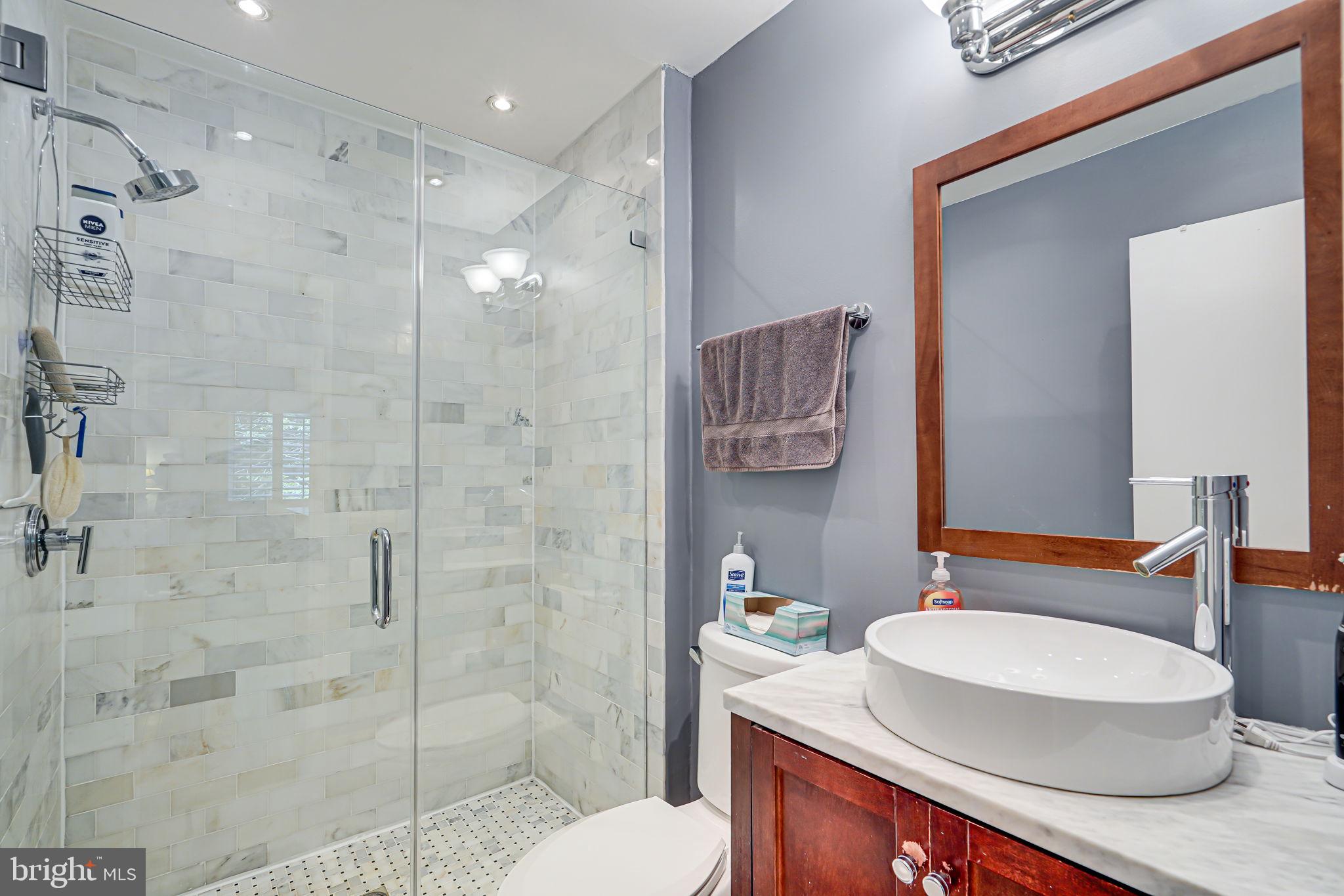 11722 Decade Court Reston, VA 20191 - Photo 20 of 44 Primary Bathroom