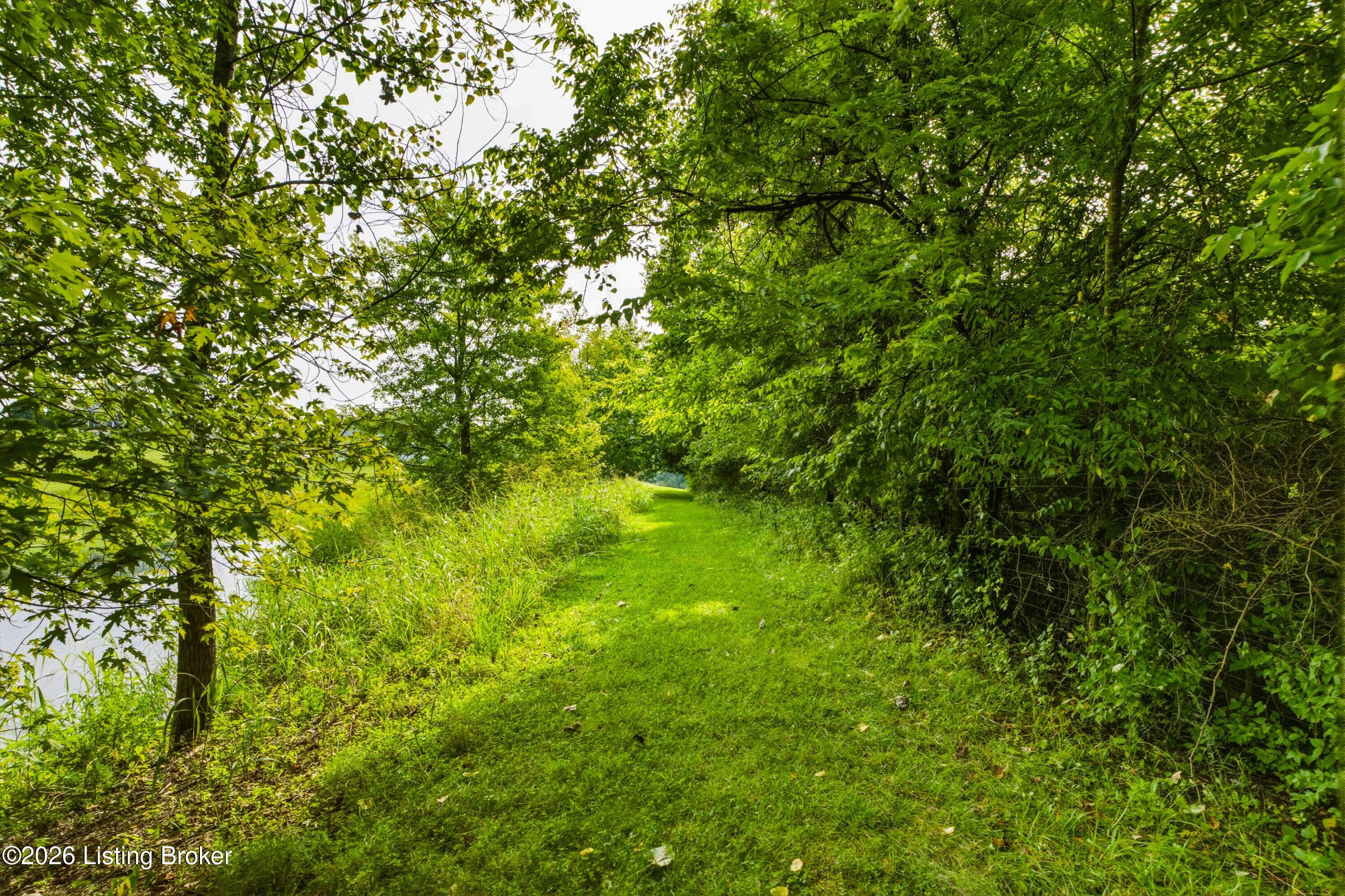 2748 Bloomfield Road Taylorsville, KY 40071 - Photo 76 of 85 DSC05238