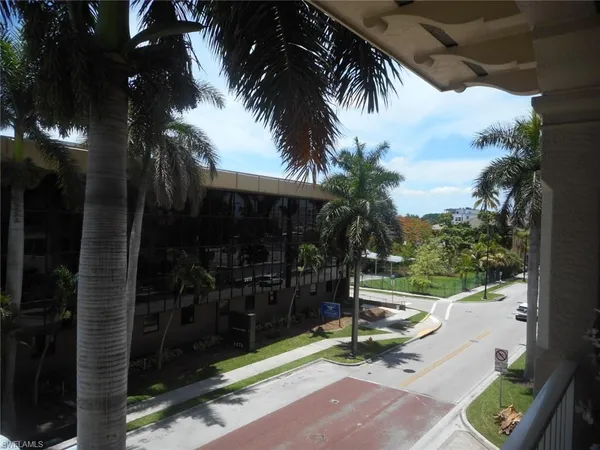 a view of a yard and palm trees