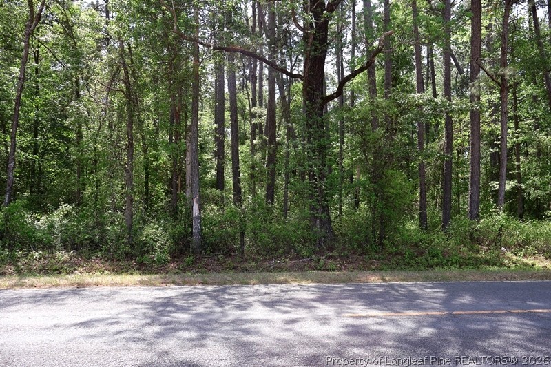 Tbd North Duffie Road Red Springs, NC 28377 - Photo 17 of 24
