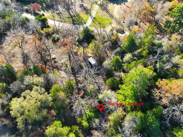 a picture of flowers