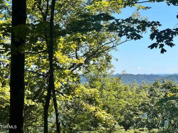 $495,000 | 7197 Tazewell Highway, Sneedville, TN 37869