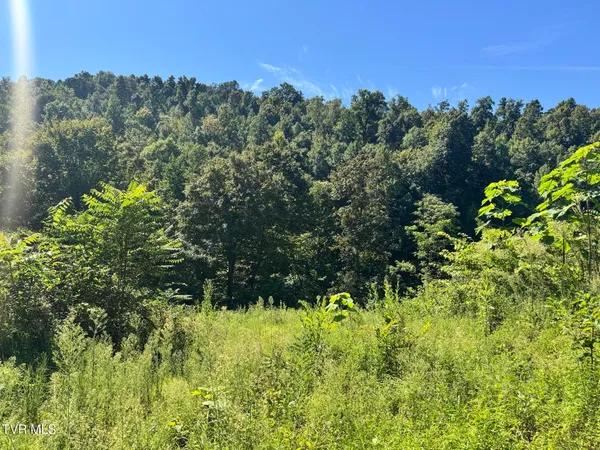 $495,000 | 7197 Tazewell Highway, Sneedville, TN 37869